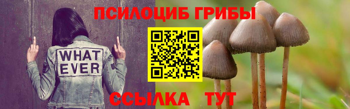 Псилоцибиновые грибы мухоморы  купить   Грозный  Вход с VPN  Галлюциногенные грибы GOLDEN TEACHER 